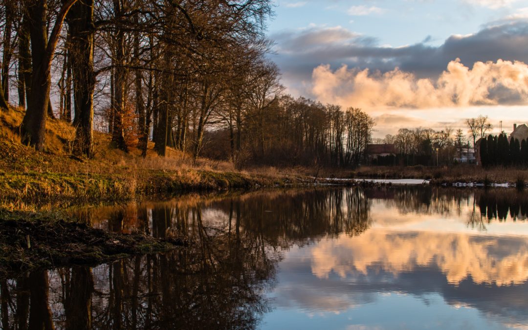Dni wolne w listopadzie