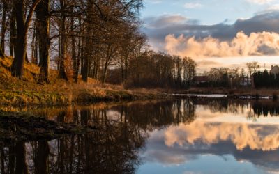 Dni wolne w listopadzie