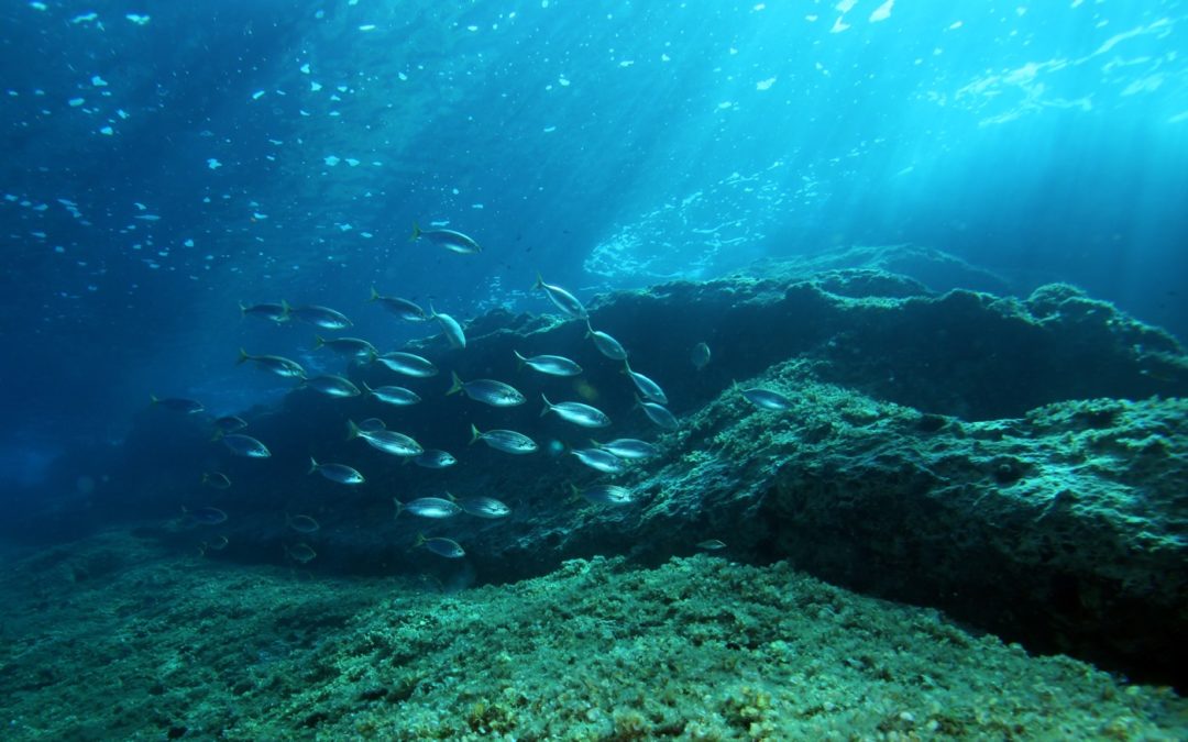 VIS, Chorwacja