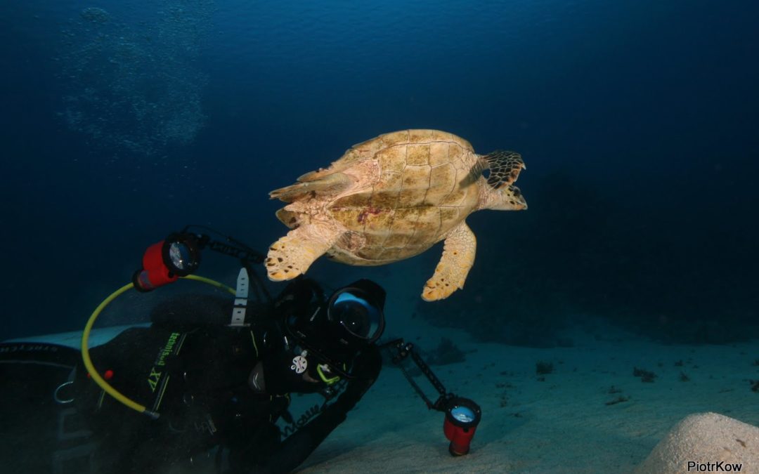 Marsa Alam