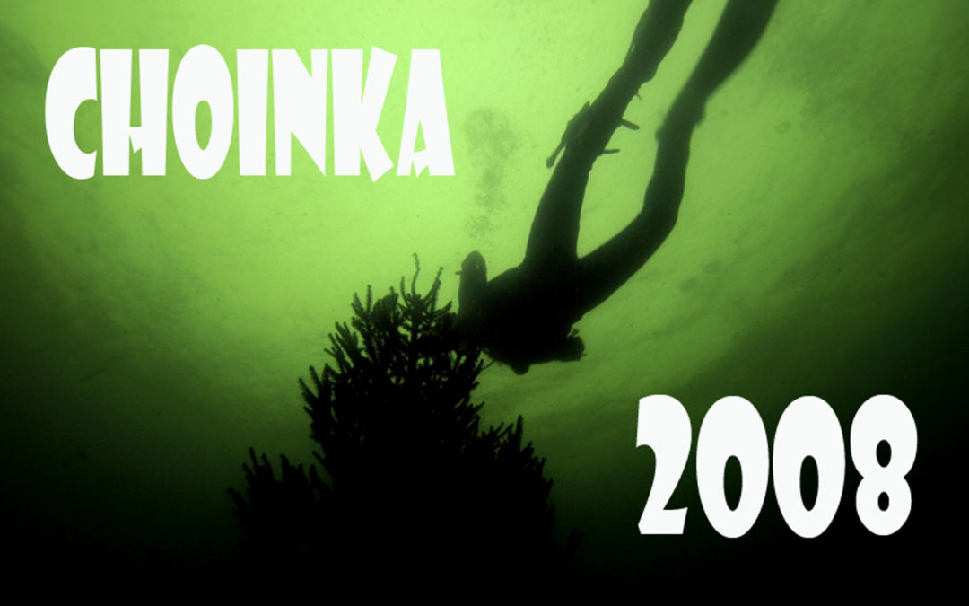 Choinka