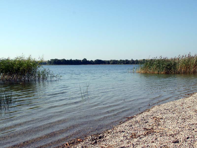 Dziadkowe Nurkowanie – Wuksniki 2005