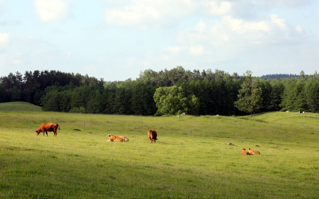Hańcza, 03-05.06.22