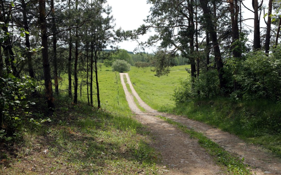 Hańcza listopadowa 10-13.11