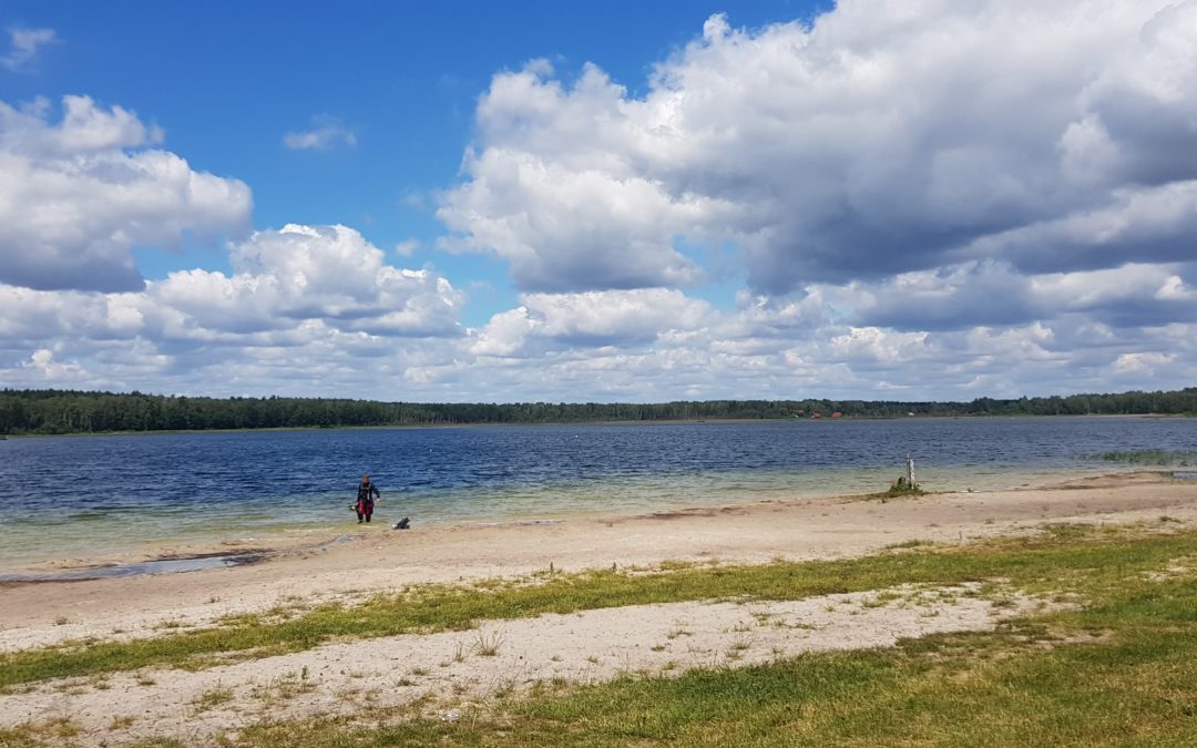 Piaseczno „z gwiazdką”, 15.06